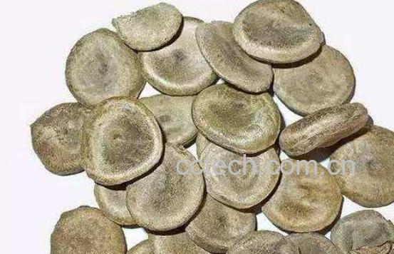  马钱子的功效与作用 马钱子的副作用-0