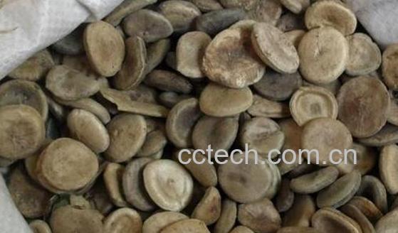 马钱子的功效与作用及副作用-1