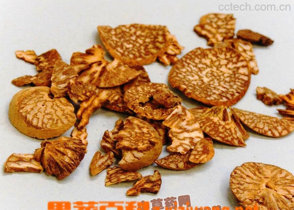 果蔬百科槟榔的功效与作用-0