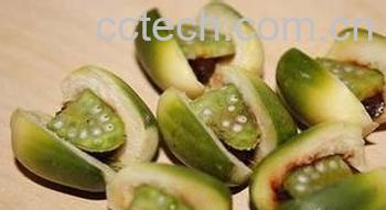 果蔬百科 吃槟榔的坏处有哪些-0