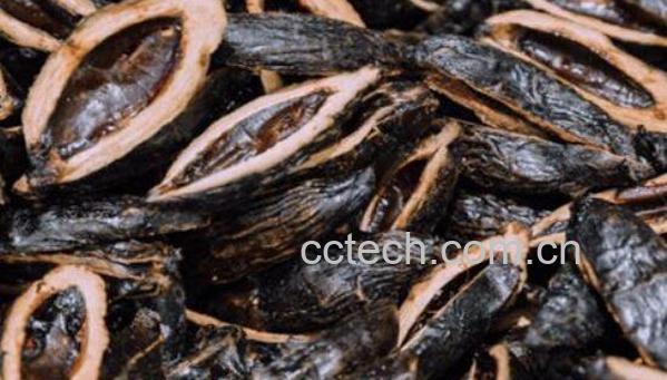 大腹皮和槟榔的区别 大腹皮的功效与作用-1