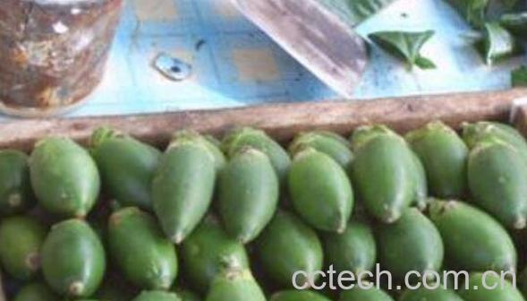 大腹皮和槟榔的区别 大腹皮的功效与作用-0