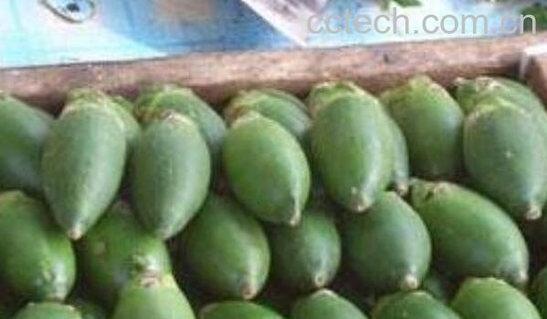 青果槟榔的功效与作用-1