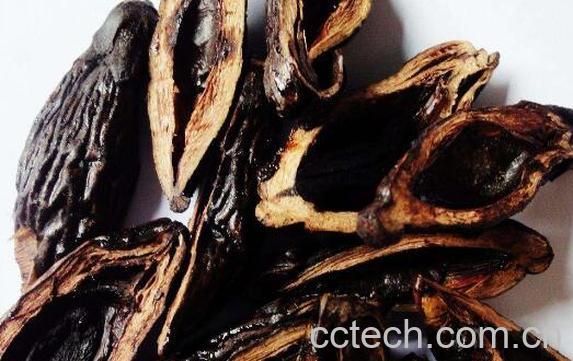 嚼槟榔的危害有哪些-1