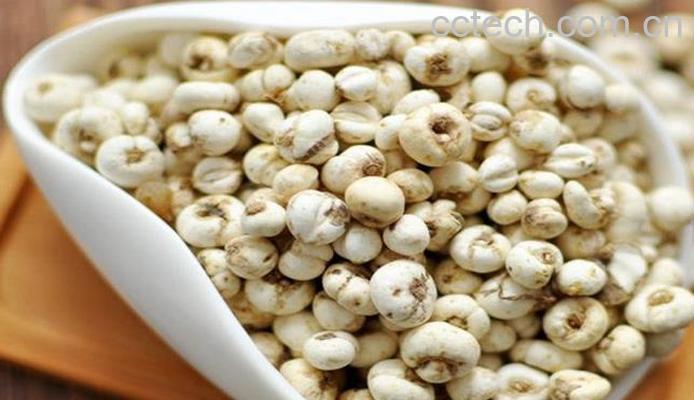 果蔬百科贝母的功效与作用-0