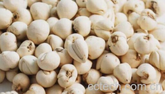 贝母的功效与作用 贝母的副作用-0