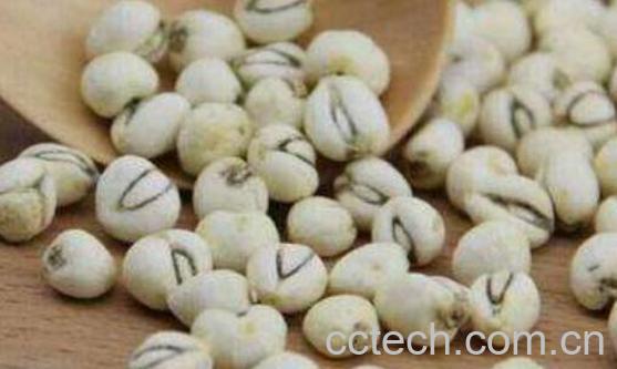 贝母的功效与作用 贝母的副作用-1