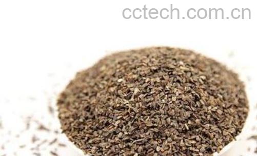 茺蔚子的功效与作用及药用价值-1