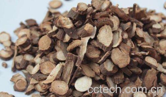 赤芍的功效与作用 赤芍的药用价值-0