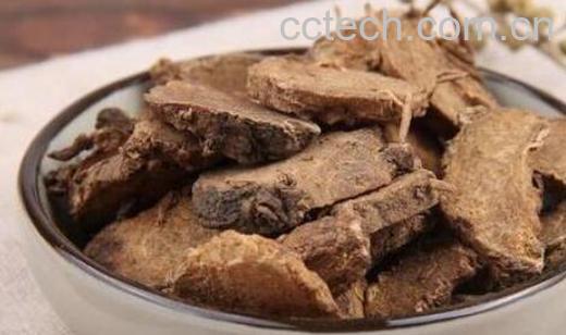 醋莪术的功效与作用及禁忌-1