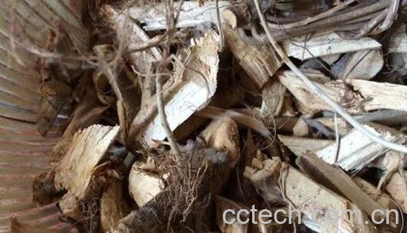 野漆树根的功效与作用及药用价值-0