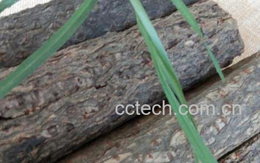 漆树皮的功效与作用-0