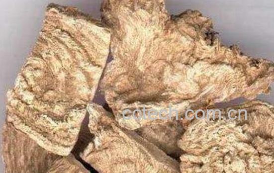 商陆根的功效与作用及药用价值-1