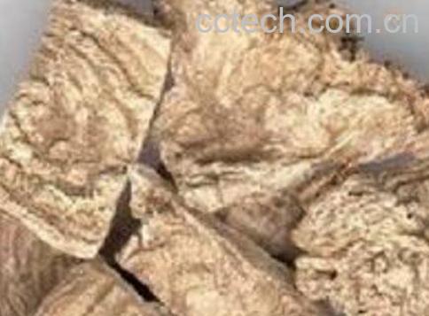 商陆根和土人参的区别 商陆根的药用价值-1