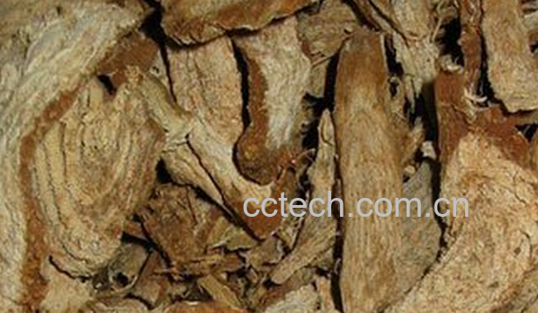 果蔬百科商陆根的功效与作用-0