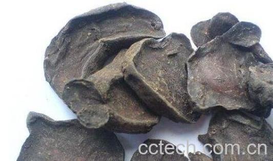 草乌头的功效与作用-0