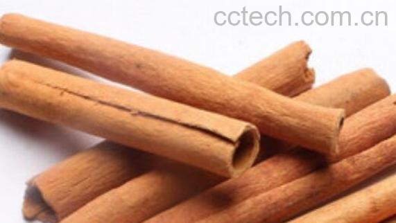 中药苦桂的功效与作用-0