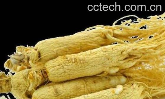 生山参的功效与作用 生山参的食用方法-0