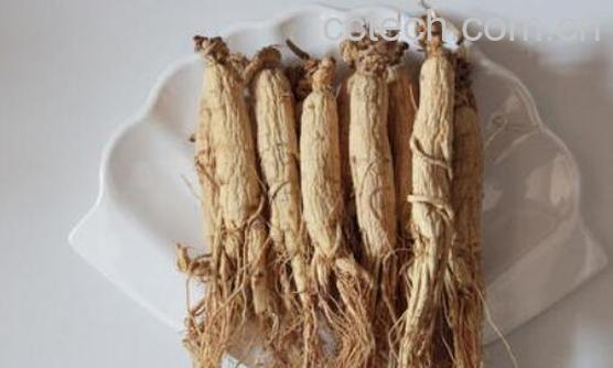 生山参和生晒参的区别 -1