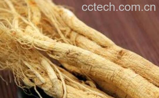 生山参和生晒参的区别 -0