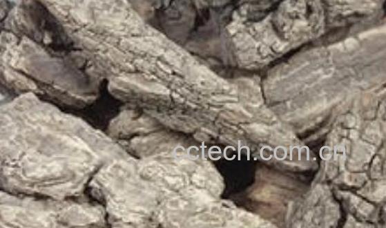 枣树皮熬水喝有什么用 枣树皮煮水的禁忌-1