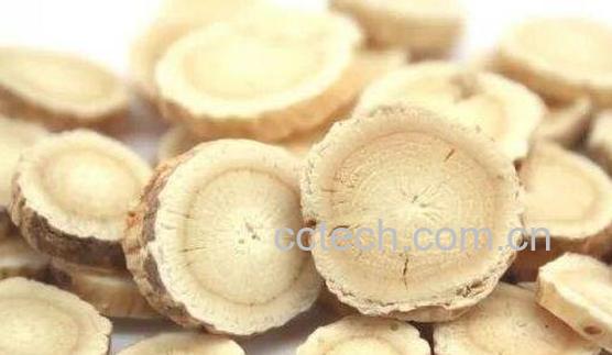 黄芪外敷的功效与作用-1