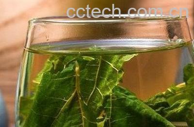  新鲜蒲公英泡水的方法-1