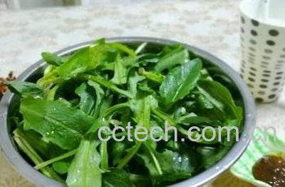 蒲公英酱如何做 蒲公英酱的制作方法-0