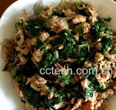 蒲公英菜的功效与作用-0