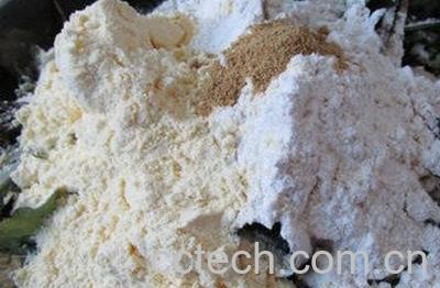 蒲公英打粉怎么吃最好-1