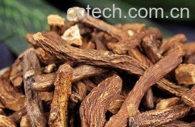 婆婆丁茶怎么制作 婆婆丁茶制作方法教程-0