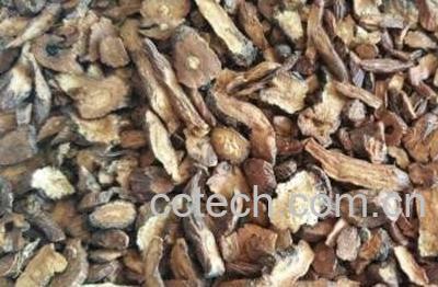 婆婆丁茶怎么制作 婆婆丁茶制作方法教程-1