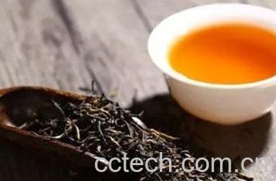 怎么自制蒲公英发酵茶 蒲公英茶制作窍门-1