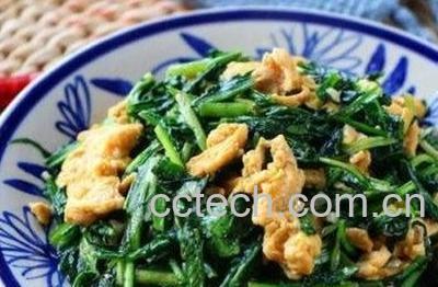 婆婆丁鸡蛋怎么做 婆婆丁鸡蛋的家常做法-0