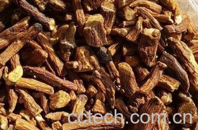  婆婆丁水怎么喝 婆婆丁泡水能天天喝吗-0