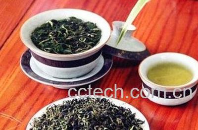 红色的蒲公英茶的功效与作用-0