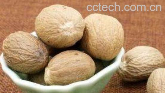 肉豆蔻的副作用和禁忌-0