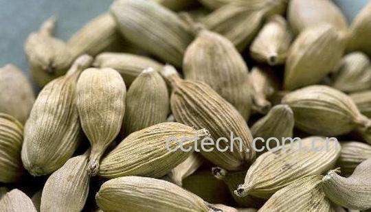 肉豆蔻的副作用和禁忌-1