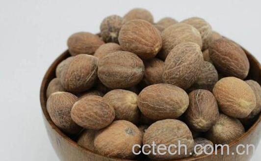 香果和肉蔻的区别 肉蔻的功效与作用-1