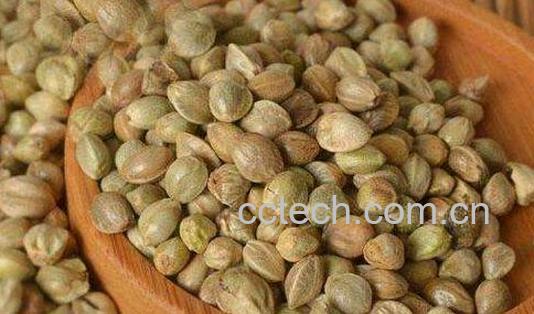 吃火麻仁的好处 火麻仁的营养价值 常见食用方法-0