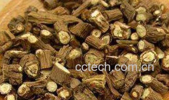 北柴胡的功效与作用及禁忌-1