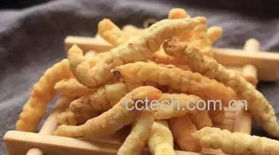 草石蚕的功效与作用 吃草石蚕的好处-1