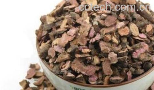 草血竭的功效与作用 草血竭的食用禁忌-0