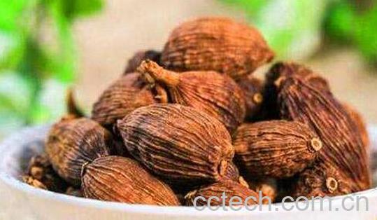 草果的功效与作用及常见用法-0