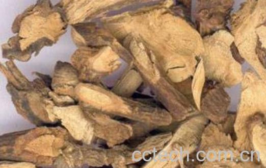 北豆根的功效与作用 北豆根有什么副作用-0