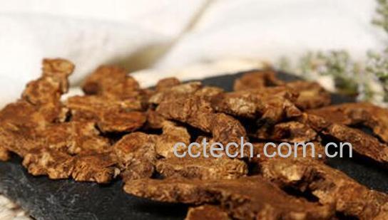 麸炒苍术的功效与作用及常见用法-1