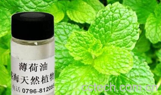 薄荷油的功效与作用及用法-0