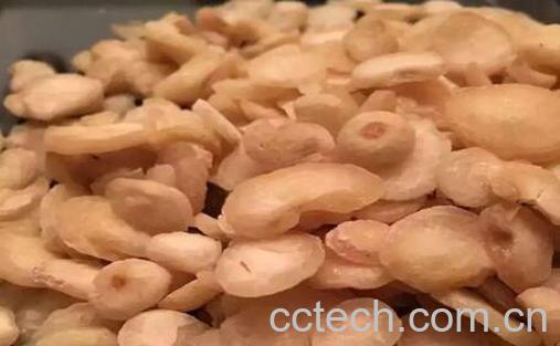 姜半夏的功效与作用及禁忌-0