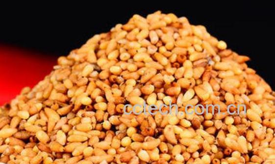 柏子仁的功效与作用 柏子仁怎么吃-0