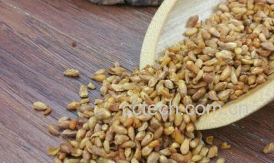 柏子仁的功效与作用 柏子仁怎么吃-1